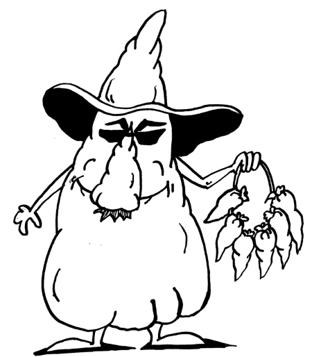 Иллюстрация к книге — Большая книга огородника и садовода. Все секреты плодородия [i_031.jpg]