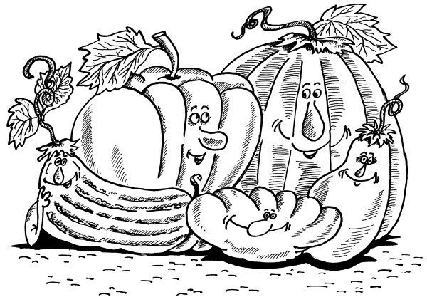 Иллюстрация к книге — Большая книга огородника и садовода. Все секреты плодородия [i_040.jpg]