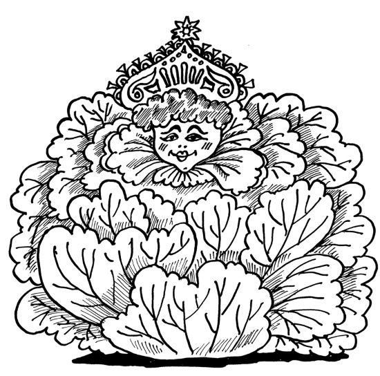 Иллюстрация к книге — Большая книга огородника и садовода. Все секреты плодородия [i_047.jpg]