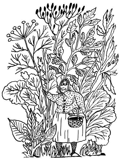 Иллюстрация к книге — Большая книга огородника и садовода. Все секреты плодородия [i_058.jpg]