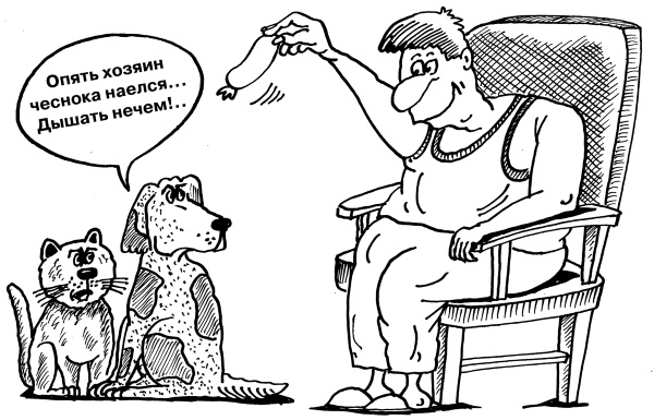 Иллюстрация к книге — Большая книга огородника и садовода. Все секреты плодородия [i_062.jpg]