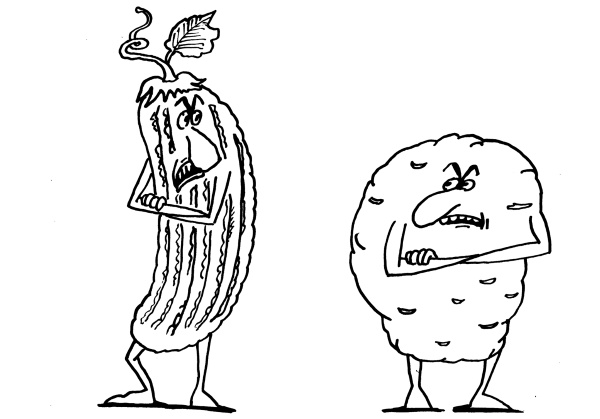 Иллюстрация к книге — Большая книга огородника и садовода. Все секреты плодородия [i_063.jpg]