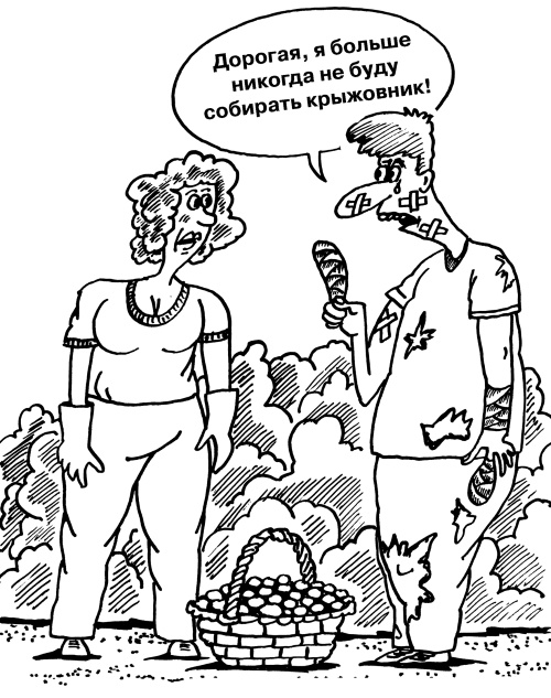 Иллюстрация к книге — Большая книга огородника и садовода. Все секреты плодородия [i_067.jpg]