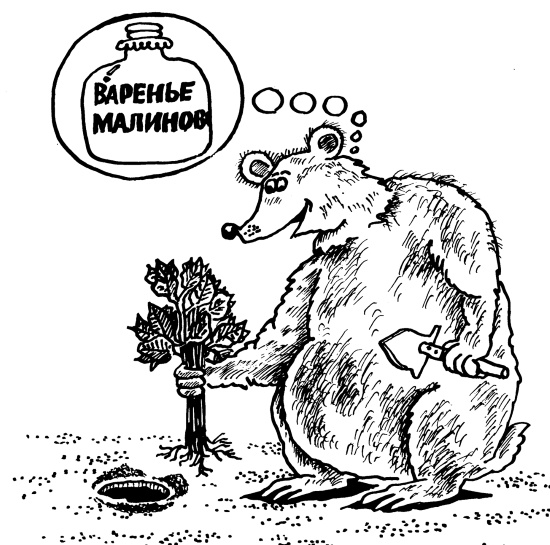 Иллюстрация к книге — Большая книга огородника и садовода. Все секреты плодородия [i_070.jpg]