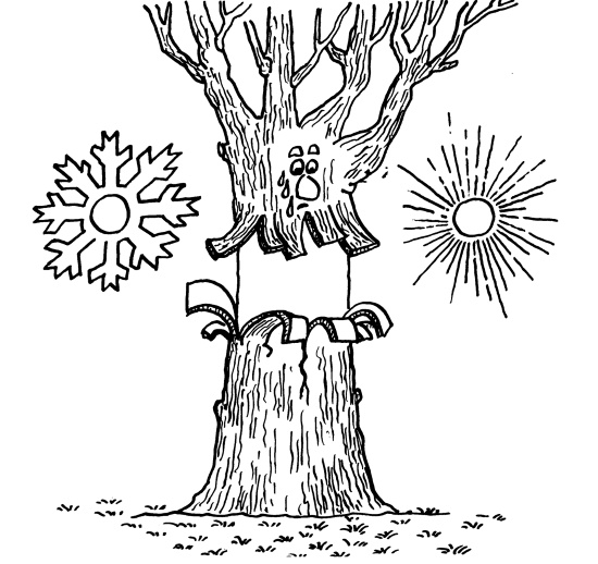 Иллюстрация к книге — Большая книга огородника и садовода. Все секреты плодородия [i_075.jpg]