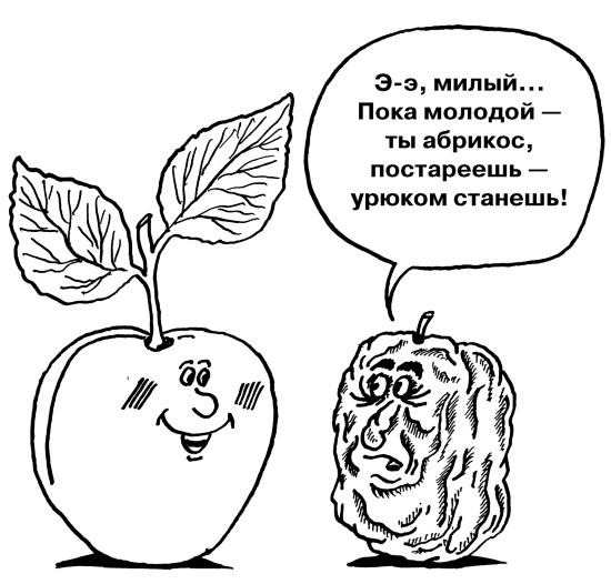 Иллюстрация к книге — Большая книга огородника и садовода. Все секреты плодородия [i_079.jpg]