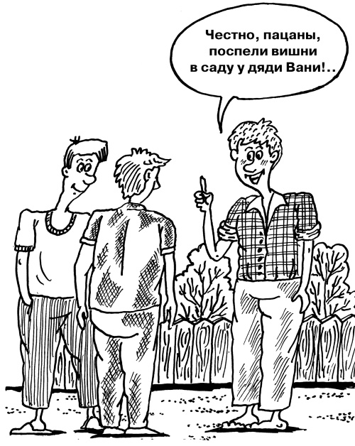 Иллюстрация к книге — Большая книга огородника и садовода. Все секреты плодородия [i_080.jpg]