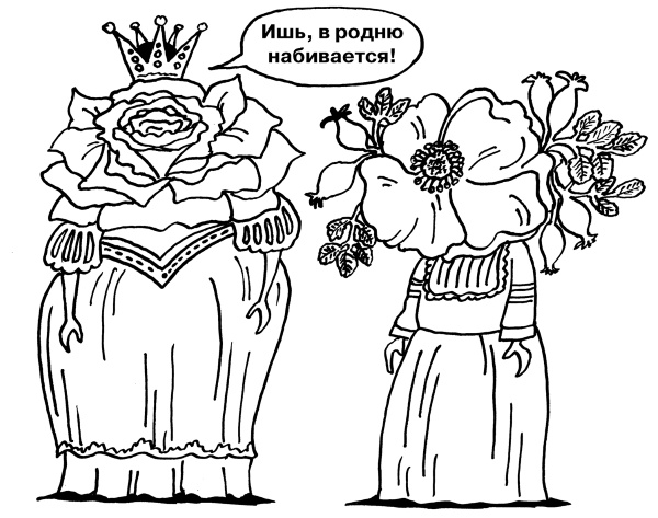 Иллюстрация к книге — Большая книга огородника и садовода. Все секреты плодородия [i_081.jpg]