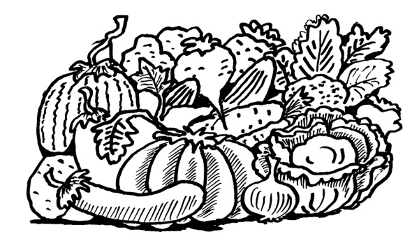 Иллюстрация к книге — Большая книга огородника и садовода. Все секреты плодородия [i_083.jpg]