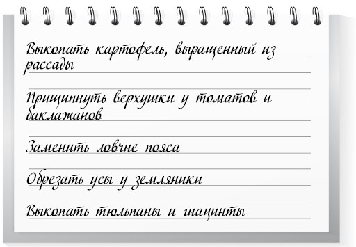 Иллюстрация к книге — Сад и огород для тех, кому за… без лишних усилий [i_009.jpg]