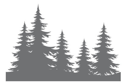 Иллюстрация к книге — Сад и огород для тех, кому за… без лишних усилий [i_025.jpg]