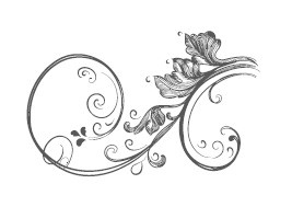 Иллюстрация к книге — Сад и огород для тех, кому за… без лишних усилий [i_028.jpg]