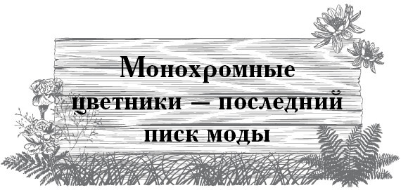 Иллюстрация к книге — Сад и огород для тех, кому за… без лишних усилий [i_032.jpg]
