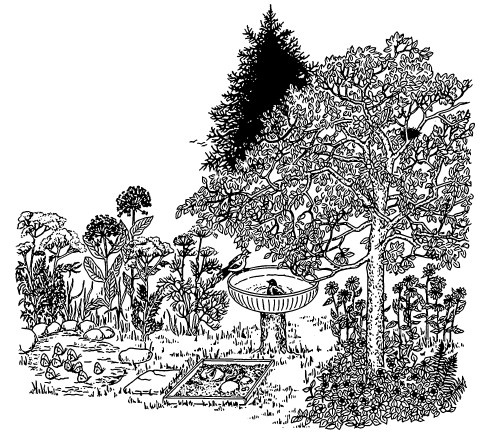 Иллюстрация к книге — Сад и огород для тех, кому за… без лишних усилий [i_034.jpg]