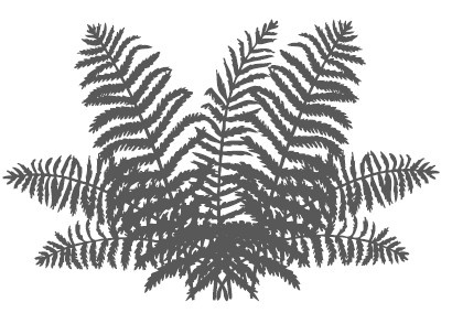 Иллюстрация к книге — Сад и огород для тех, кому за… без лишних усилий [i_041.jpg]