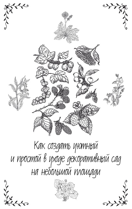 Иллюстрация к книге — Урожай без хлопот. Сад, цветник и огород [i_054.jpg]