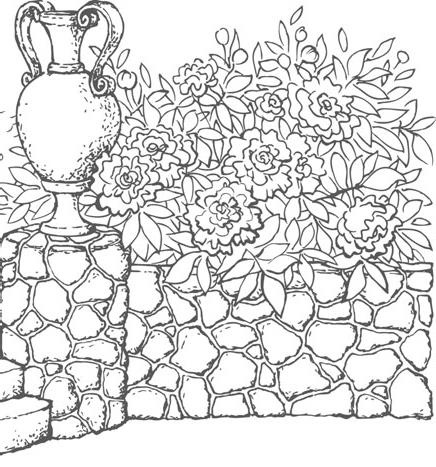 Иллюстрация к книге — Цветник для ленивых. Цветы от последнего снега до первых морозов [i_002.jpg]