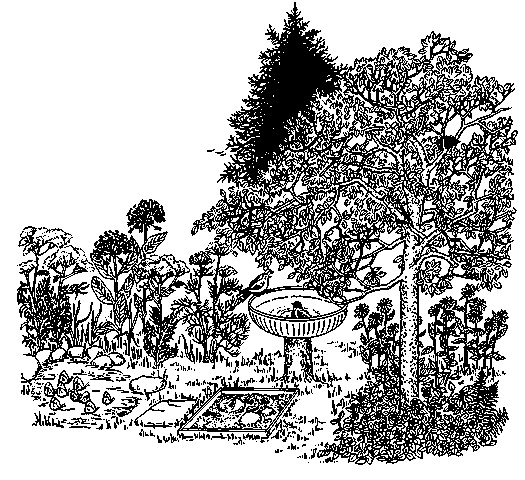 Иллюстрация к книге — Цветник для ленивых. Цветы от последнего снега до первых морозов [i_013.jpg]