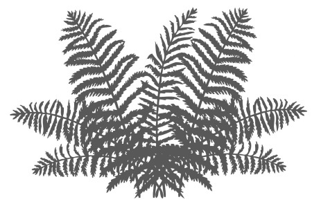 Иллюстрация к книге — Цветник для ленивых. Цветы от последнего снега до первых морозов [i_028.jpg]