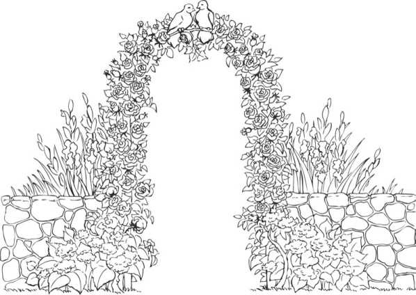 Иллюстрация к книге — Цветник для ленивых. Цветы от последнего снега до первых морозов [i_080.jpg]