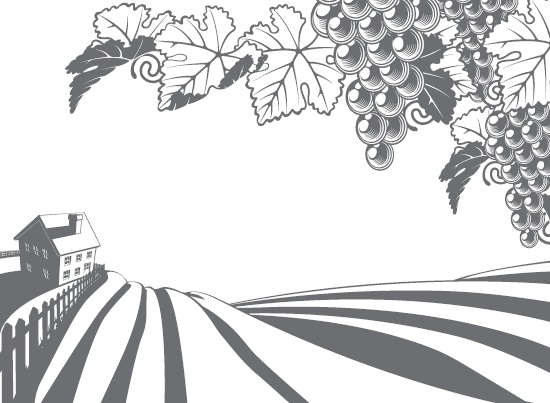 Иллюстрация к книге — Виноград без труда [_2.jpg]