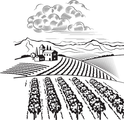 Иллюстрация к книге — Виноград без труда [_53.jpg]