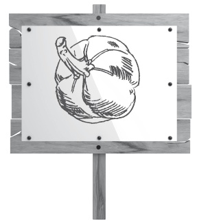 Иллюстрация к книге — Огород по-русски. Мало сажаем, много собираем [i_007.jpg]