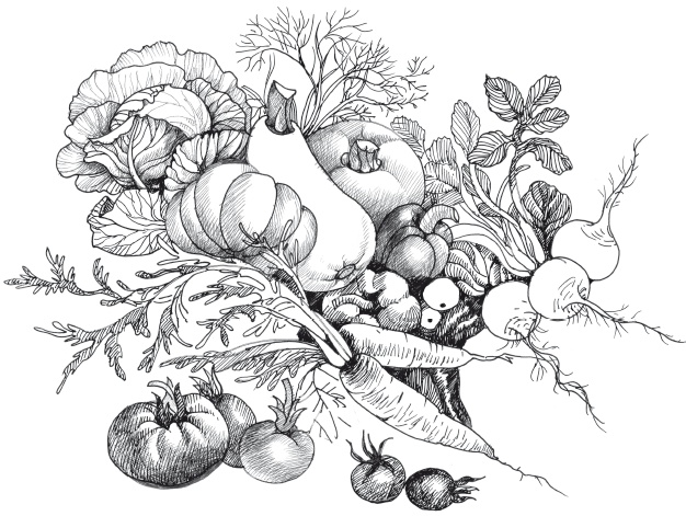 Иллюстрация к книге — Огород по-русски. Мало сажаем, много собираем [i_011.jpg]