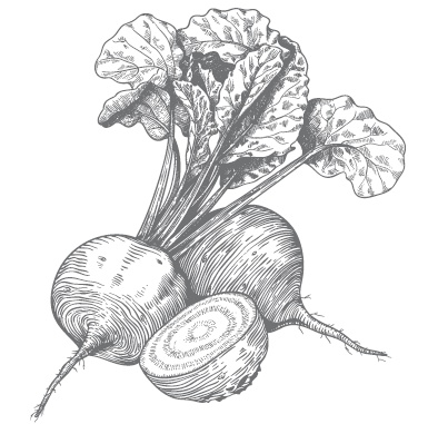 Иллюстрация к книге — Огород по-русски. Мало сажаем, много собираем [i_013.jpg]