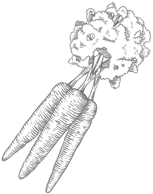 Иллюстрация к книге — Огород по-русски. Мало сажаем, много собираем [i_018.jpg]