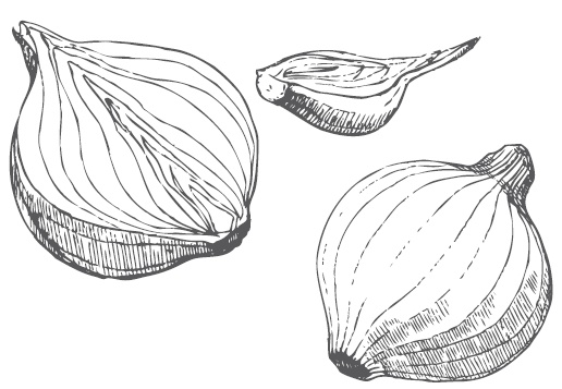 Иллюстрация к книге — Огород по-русски. Мало сажаем, много собираем [i_019.jpg]