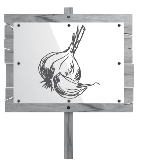 Иллюстрация к книге — Огород по-русски. Мало сажаем, много собираем [i_023.jpg]