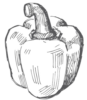 Иллюстрация к книге — Огород по-русски. Мало сажаем, много собираем [i_034.jpg]