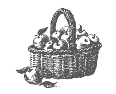 Иллюстрация к книге — Огород по-русски. Мало сажаем, много собираем [i_063.jpg]