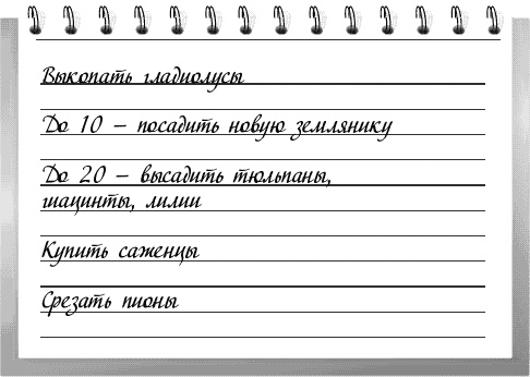 Иллюстрация к книге — Чудо-грядки: не копаем, а урожай собираем [_197.jpg]