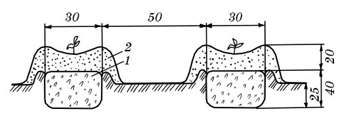 Иллюстрация к книге — Парники и теплицы. Строим и выращиваем [i_064.jpg]