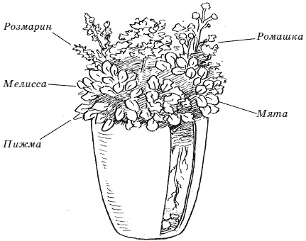 Иллюстрация к книге — Огород у вас дома [i_014.jpg]