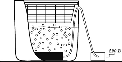 Иллюстрация к книге — Огород у вас дома [i_016.jpg]