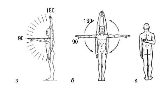 Иллюстрация к книге — Лечимся едой. Болезни суставов и позвоночника. 200 лучших рецептов [i_007.jpg]