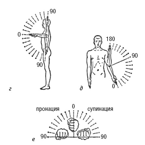 Иллюстрация к книге — Лечимся едой. Болезни суставов и позвоночника. 200 лучших рецептов [i_008.jpg]