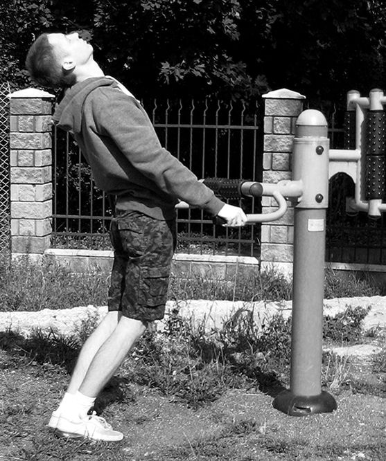 Иллюстрация к книге — Здоровье позвоночника. Системы Попова, Бубновского и другие методики излечения [i_007.jpg]