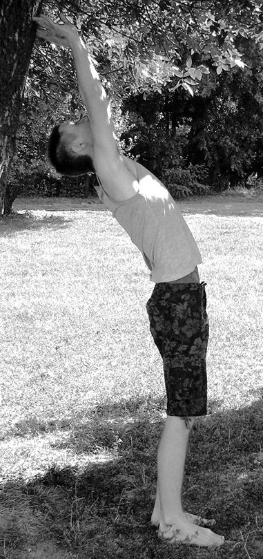 Иллюстрация к книге — Здоровье позвоночника. Системы Попова, Бубновского и другие методики излечения [i_011.jpg]