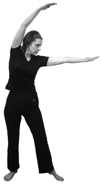 Иллюстрация к книге — Здоровье позвоночника. Системы Попова, Бубновского и другие методики излечения [i_100.jpg]