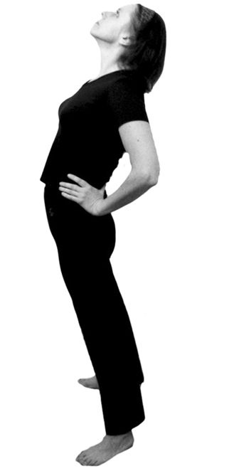 Иллюстрация к книге — Здоровье позвоночника. Системы Попова, Бубновского и другие методики излечения [i_137.jpg]