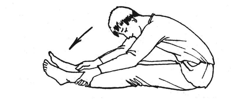 Иллюстрация к книге — Здоровье позвоночника. Системы Попова, Бубновского и другие методики излечения [i_168.jpg]