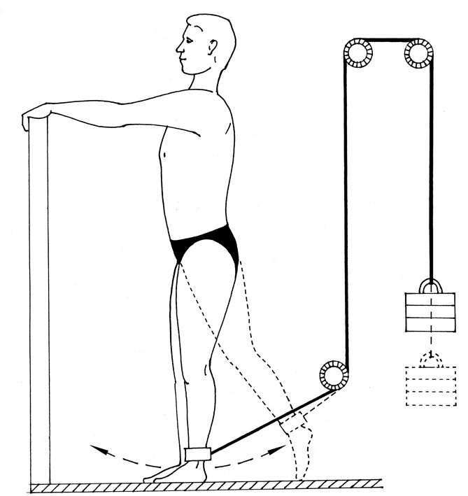 Иллюстрация к книге — Здоровье позвоночника. Системы Попова, Бубновского и другие методики излечения [i_178.jpg]