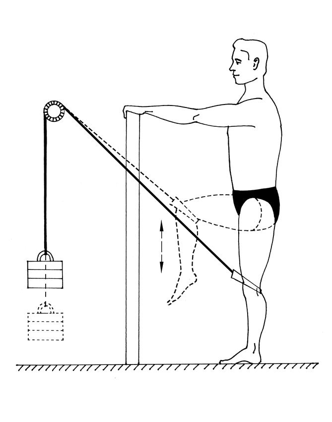 Иллюстрация к книге — Здоровье позвоночника. Системы Попова, Бубновского и другие методики излечения [i_183.jpg]