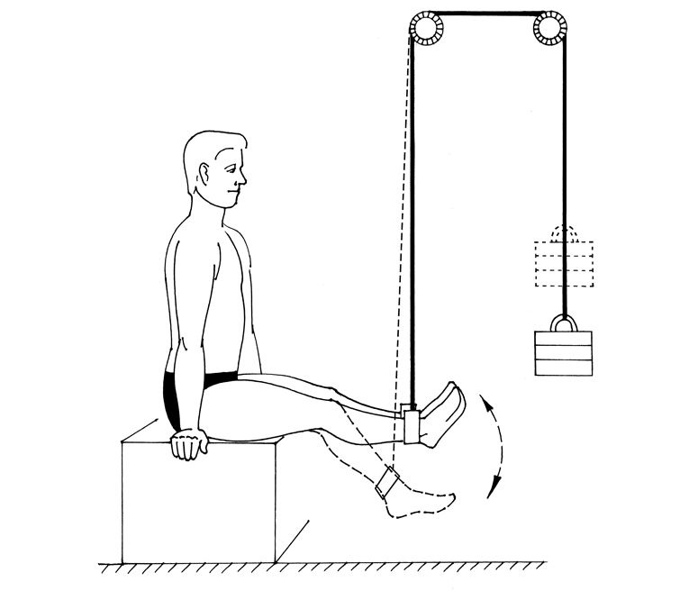 Иллюстрация к книге — Здоровье позвоночника. Системы Попова, Бубновского и другие методики излечения [i_194.jpg]