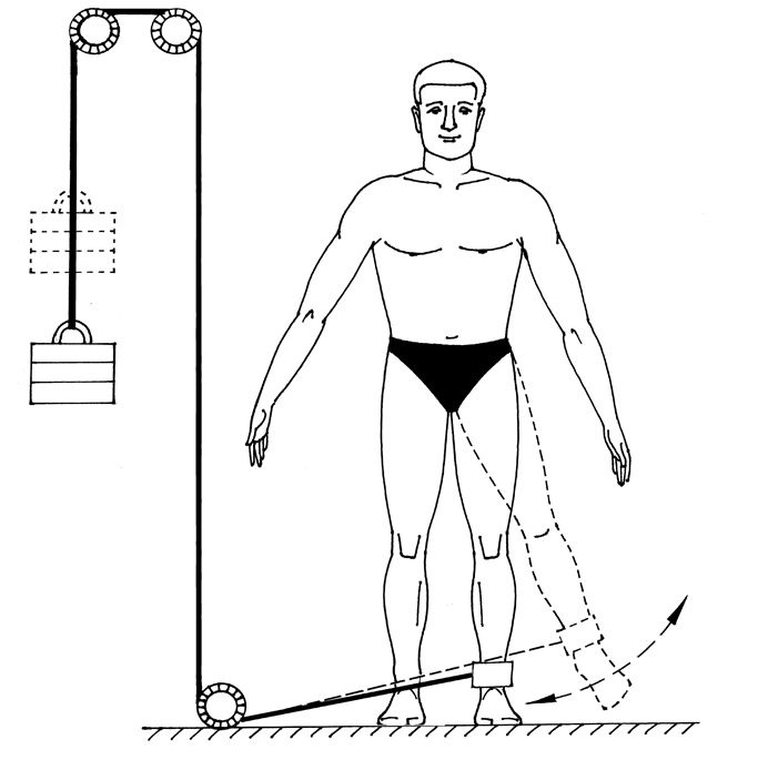 Иллюстрация к книге — Здоровье позвоночника. Системы Попова, Бубновского и другие методики излечения [i_212.jpg]