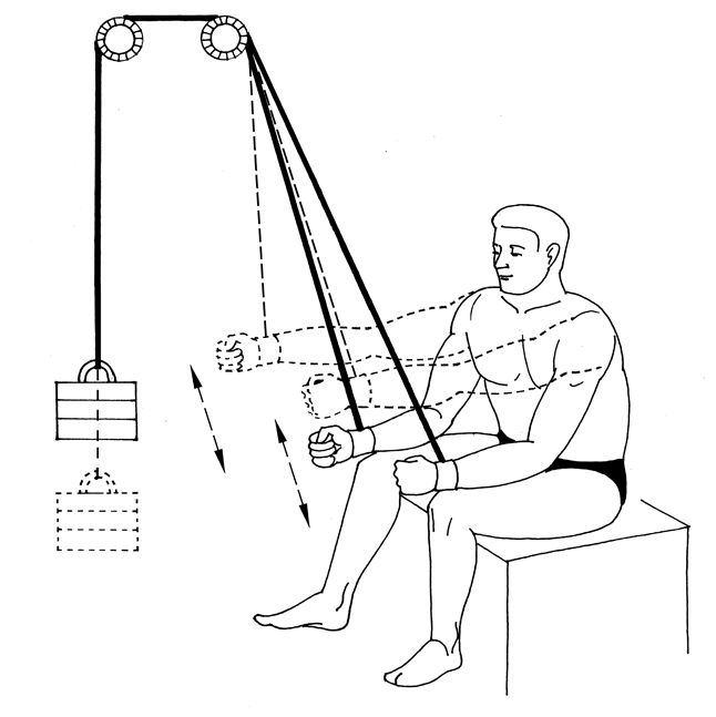 Иллюстрация к книге — Здоровье позвоночника. Системы Попова, Бубновского и другие методики излечения [i_217.jpg]